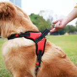 Tucker™ | Harnais Anti-Tirage Réfléchissant pour Chien