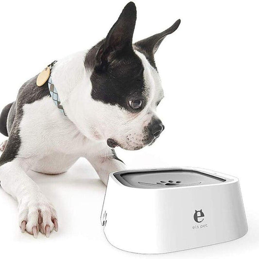 Ruff™ | Gamelle Anti-Débordement pour Chien