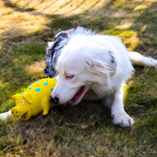 Jouet à Sifflet en Forme de Cochon pour Chien