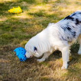 Jouet à Sifflet en Forme de Cochon pour Chien