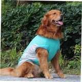 Veste Refroidissante pour Chiens Légère et Séchage Rapide