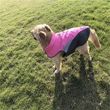 Veste Réfléchissante pour Chiens Haute Qualité Imperméable Coupe-Vent
