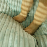 Coussin Orthopédique pour Chiens avec Housse Amovible