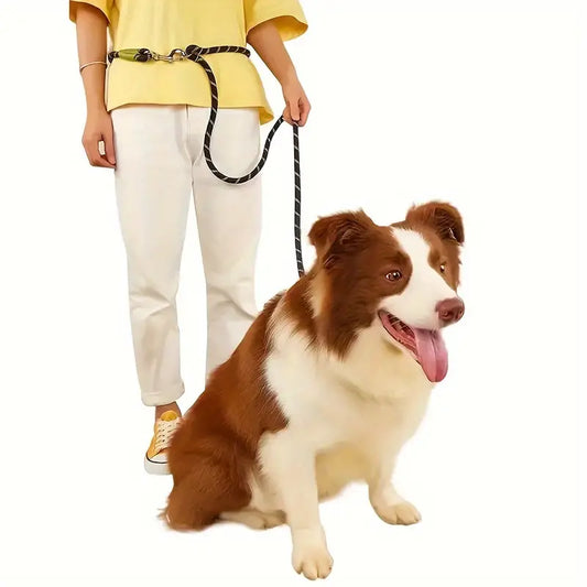 Laisse de chien mains libres en nylon pour une promenade facile