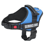Harnais pour chiens d'assistance