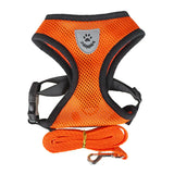 PawFit™ | Le harnais avec laisse pour chiens et chats