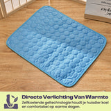 Tapis de Thérapie Rafraîchissant pour Chien