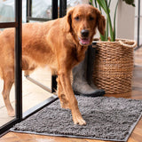 Tapis CleanPaw | Tapis d'entrée pour chiens