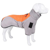 VestPaws™ | Veste d'Hiver Imperméable pour Grands Chiens