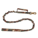 Collier Durable pour Chiens avec Boucle Robuste pour Chiens Forts