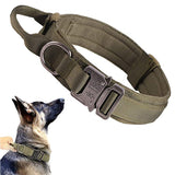 Collier Durable pour Chiens avec Boucle Robuste pour Chiens Forts