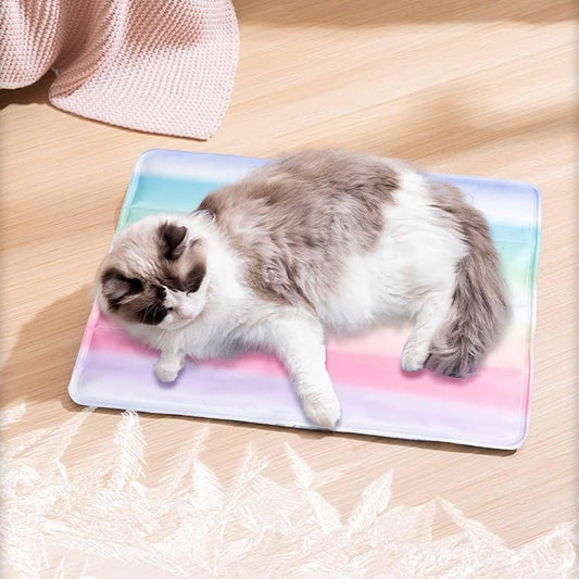 Tapis Arc-en-ciel pour Animaux de Compagnie