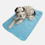 Tapis Autonome Refroidissant pour Chiens avec Côté Glacé Lavable et Pliable pour les Jours d'Été