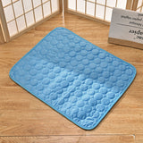 Tapis de Thérapie Rafraîchissant pour Chien