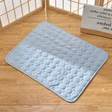 Tapis de Thérapie Rafraîchissant pour Chien