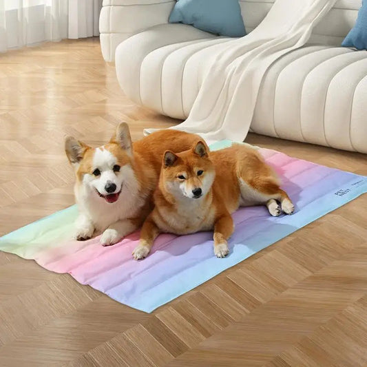 Tapis Arc-en-ciel pour Animaux de Compagnie