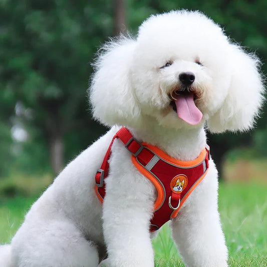 Harnais pour chien ajustable en polyester réfléchissant, design durable