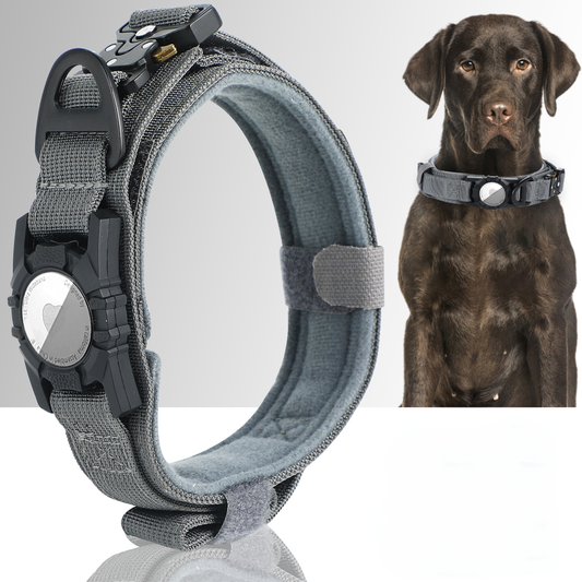 Collier pour Chien Résistant et Tactique avec Support pour Air Tag