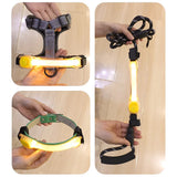 Collier LED de Sécurité pour Chiens Lumineux