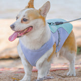Gilet Refroidissant pour Chiens avec Protection UV Léger et Ajustable