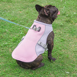 Gilet Refroidissant pour Chiens avec Protection UV Léger et Ajustable