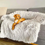 Couvre-lit Calmant Doux pour Chien