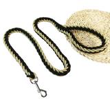 Laisse en Nylon Robuste pour Chiens Grands et Moyens