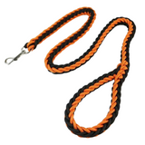 Laisse en Nylon Robuste pour Chiens Grands et Moyens
