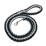 Laisse en Nylon Robuste pour Chiens Grands et Moyens