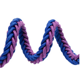 Laisse en Nylon Robuste pour Chiens Grands et Moyens