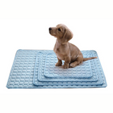 Coussin Rafraîchissant Lavable pour Chiens d'Été