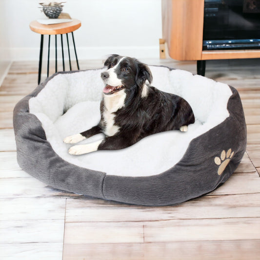 Nid Douillet pour Chien
