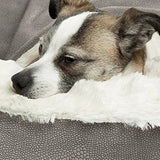 Coussin Orthopédique de Luxe pour Chien avec Housse Lavable en Mousse à Mémoire et Revêtement en Peluche