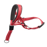 Muselière pour Chien en Nylon Respirant