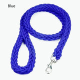 Laisse en Nylon Robuste pour Chiens Grands et Moyens