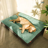 Coussin Orthopédique pour Chiens avec Housse Amovible