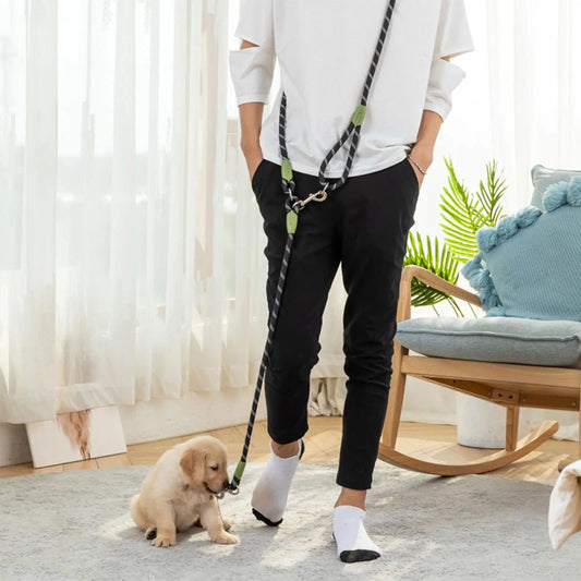 Laisse de chien mains libres en nylon pour une promenade facile