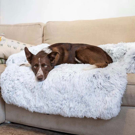 Couvre-lit Calmant Doux pour Chien