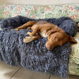 Couvre-lit Calmant Doux pour Chien