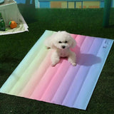 Tapis Arc-en-ciel pour Animaux de Compagnie